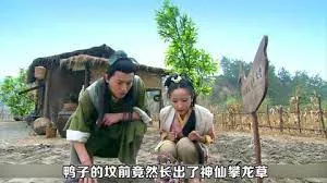 诱惑之夏这就是我们所说的夏天